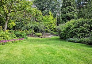 Optimiser l'expérience du jardin à Villars